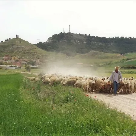 Prázdninový dům Casa Rural Mirador De Cerrato *